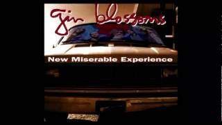 Gin Blossoms - Pieces of The Night