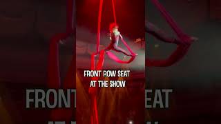 SUN PRINCESS Cruise Evenings: What a Night Looks Like! #shorts