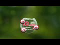 Iklan Telon Lang Plus
