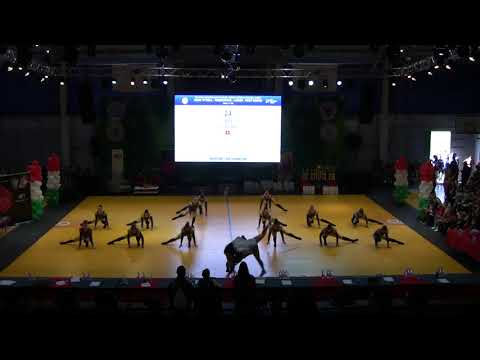 L-Team (CH) - first round - World Championship Formations Ladies Dabas 2017