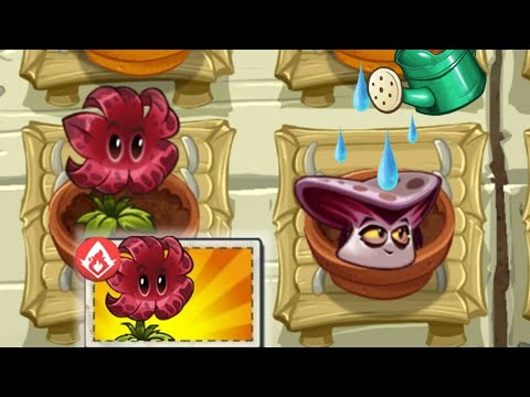 All New Plants Animation In Zen Garden 10.0.1 - Plants Vs Zombies 2
