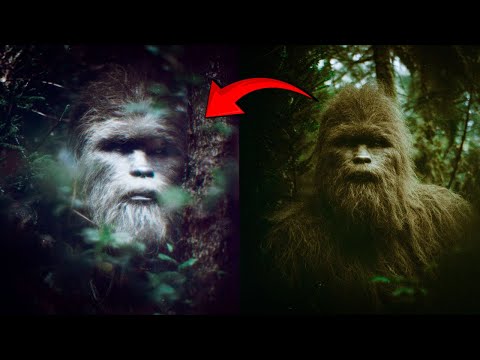 Unfiltered Testimony: A Haunting Bigfoot Experience