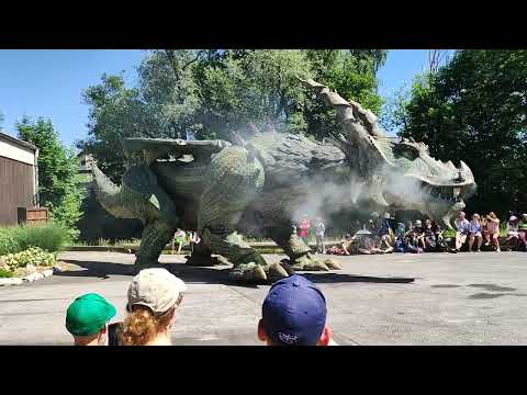 der further Drache 2022