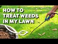 How to Treat Weeds in My Lawn