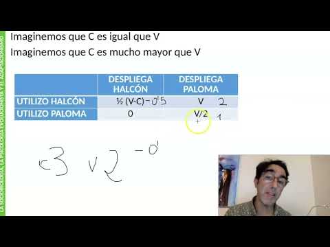 halcones y palomas teoría y preguntas de examen