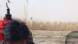 Download lagu gantangan Super power cijoho Kuningan mp3