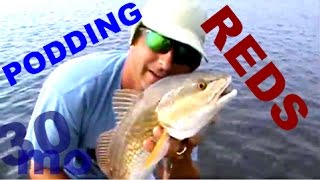 preview picture of video '30milesOUT.com - FLY FISHING redfish on shrimp patterns- how to- fishing show'