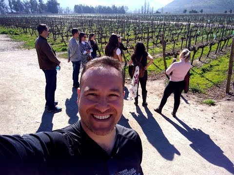 Compilado dos Stories que fizemos quando visitamos a vinícola