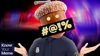 Florida Deputy Mistakes Acorn for Gunshot and Becomes a Meme | Meme Origin and Explanation