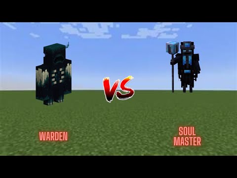 Soul Master Vs. Warden