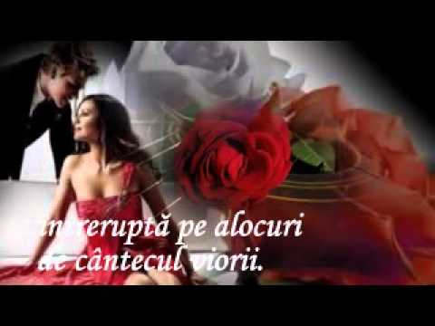Cantecul iubirii....