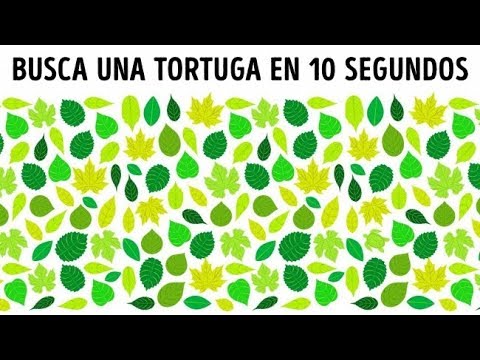 Una Prueba Que Mostrará Si Eres Un Genuino Introvertido