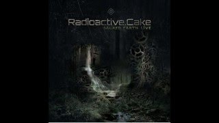 Radioactive Cake @ Sacred Earth(Live Set)