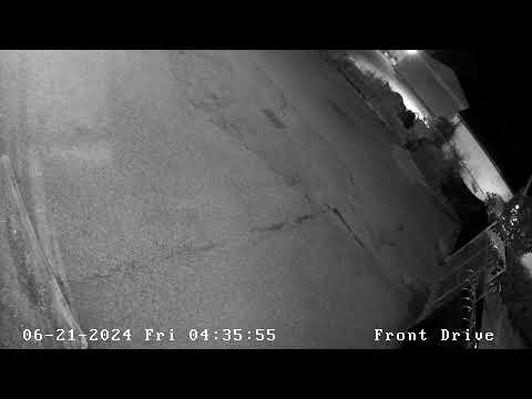 Dumpster Fire Part 2