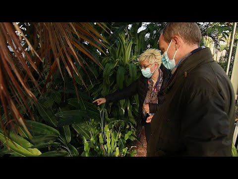 Is the pandemic having an impact on climate change?