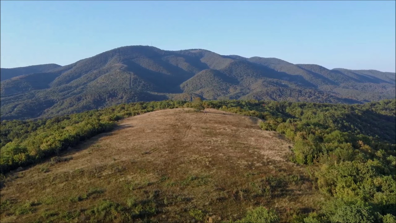 Земля под виноградник