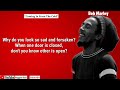 Bob Marley Coming In From The Cold Lyrics Video