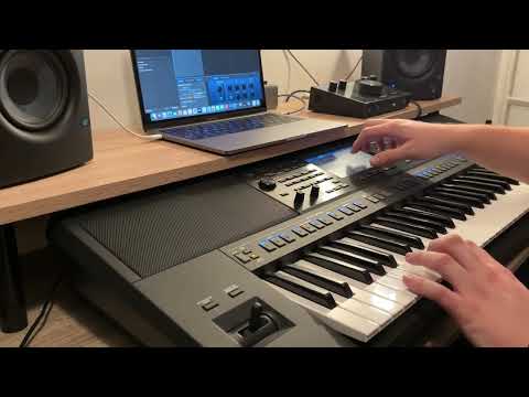 Yamaha PSR SX900 sounds and styles demo