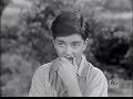 Lassie 1954 THE APPLE TREE Adventure Drama Lassie Jon Provost June Lockhart