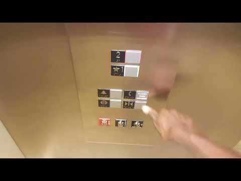 Schindler 3300 MRL Traction Elevator And Schindler 3300 XL Elevator Dillard's And liberty Centermall