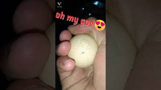the hen baby is coming | don't miss this video |  amazing video