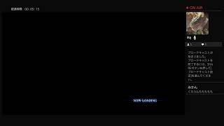 RE3の為に初めてのバイオ6(二人)