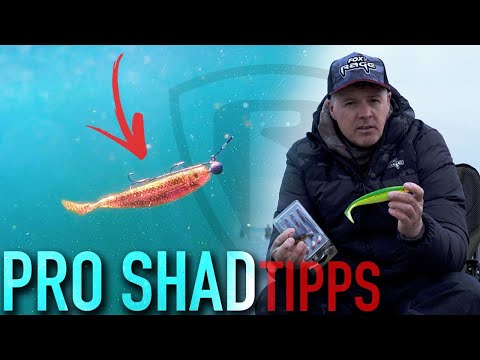 Mit DIESEM Köder fängt JEDER Hechte | Fox Rage PRO SHAD | Hechtangeln | Raubfischangeln