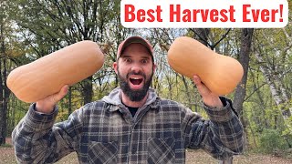 Harvesting Butternut Squash - Why EVERYONE Should Grow These