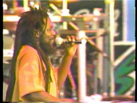 Dennis Brown#2 - Reggae Bee-Sting Festival JA (1993)
