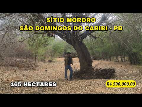 🌾 SÍTIO MORORÓ, 165 HA, ÀS MARGENS DO RIO PARAÍBA – ÁGUA, PRODUÇÃO E EXCELENTE LOCALIZAÇÃO🌾