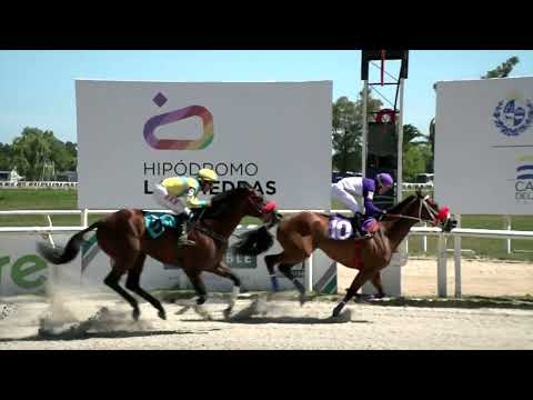 211217 c03 - ARALC - HIPODROMO LAS PIEDRAS