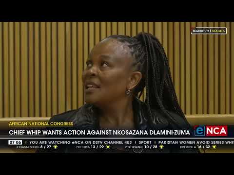 ANC Chief Whip wants action against Dlamini Zuma