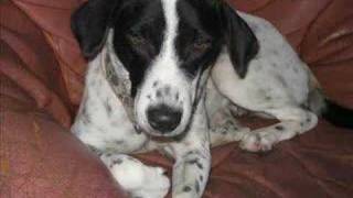 Download lagu Yoku ie humarap mp3 Download lagu Yoku ie humarap mp3