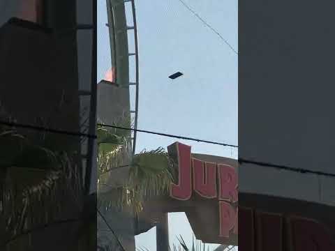 ルイ・ボニエについて詳しく解説