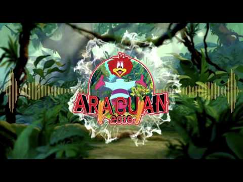 Aracuan 2016 - Technosnaus & Hilnigger