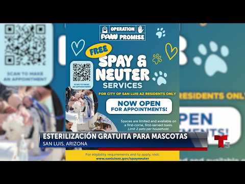 Servicios gratuitos de esterilizacion y castracion para los residentes de San Luis, Arizona