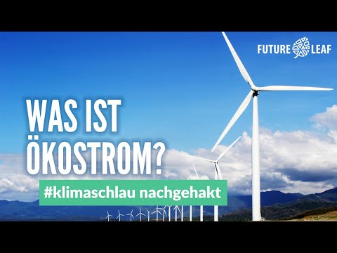 Was ist Ökostrom? #klimaschlau nachgehakt – FUTURE LEAF
