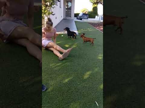 24 de agosto de 2021