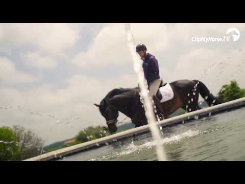 Hendrik Lochthowe | Mein Team | Deutsche Bank Reitsport- Akademie |  |