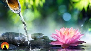 6 Hour Zen Meditation Music: Calming Music, Relaxing Music, Soothing Music, Relaxation Music, ☯2266