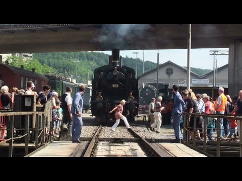 Dampflok Festival in der Schweiz - Tag der offenen Tore Remise Brugg Eisenbahn,Züge trains trainfart