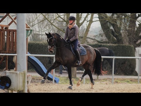 secrets of you and i