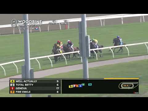 Woodbine, Tbred, September 17, 2022 Race 1