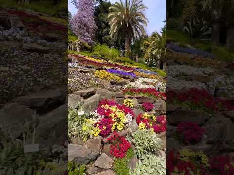 MOST BEAUTIFUL GARDEN IN LAKE COMO #travel #italy #shorts