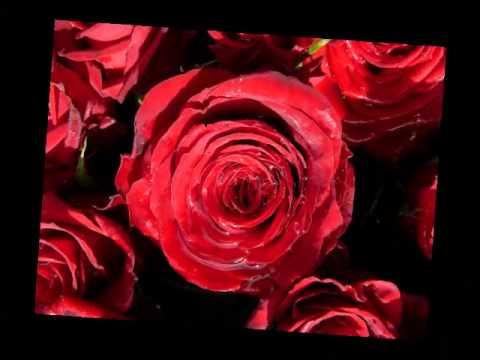 a-mokproductions - A-MOK - MIXTAPE 2.0 - 10 Dieses Mädchen