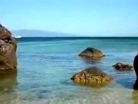 Alexander macellai circa osteocondrosi Trattamento zuppa di cipolle delle articolazioni