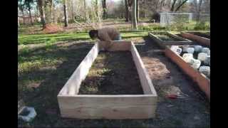 How to build raised beds for CHEAP