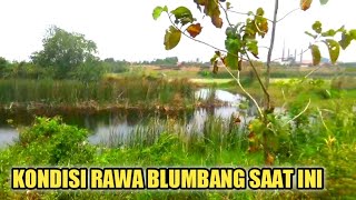 Download lagu KONDISI RAWA BLUMBANG SAAT INI || MARI KITA COBA MANCING DISINI!! mp3