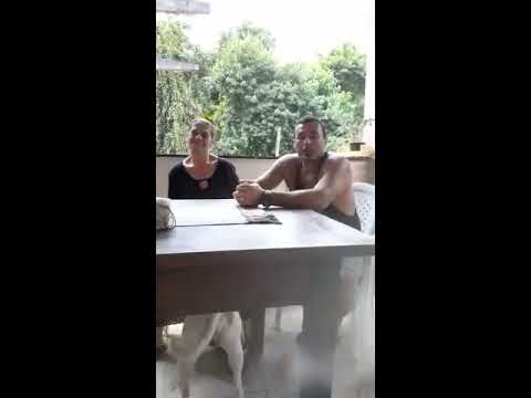 Ela viu a mula sem cabeça 😱😱