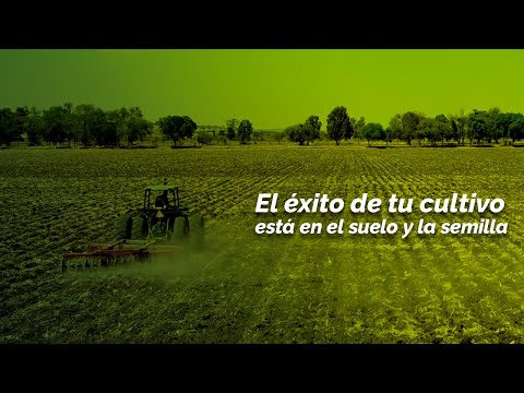 PREPARING THE LAND BEFORE PLANTING CORN